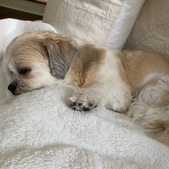 Meet your Posher, Pam - Picture 9 of 10